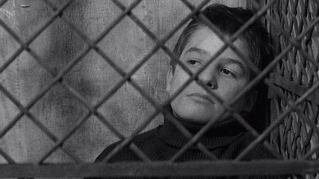 "Zéro pointé, au coin, et avec le bonnet d'âne, Monsieur Doinel !"