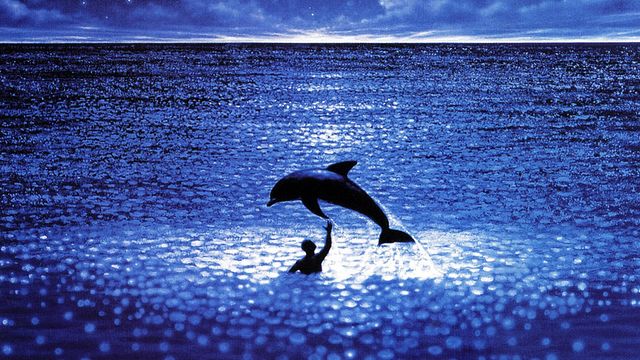 "Tu viens ? Elle est bonne... Je sais pas nager. T'inquiètes, ils vont t'aider..."