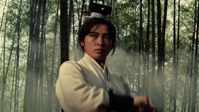 A Touch Of Zen Bande-annonce