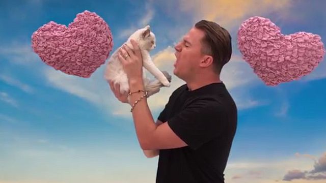 Le comédien Channing Tatum, qui sera à l'affiche des Huit Salopards de Quentin Tarantino, dit huit vacheries à un tout petit chat dans l'émission de Jimmy Kimmel.