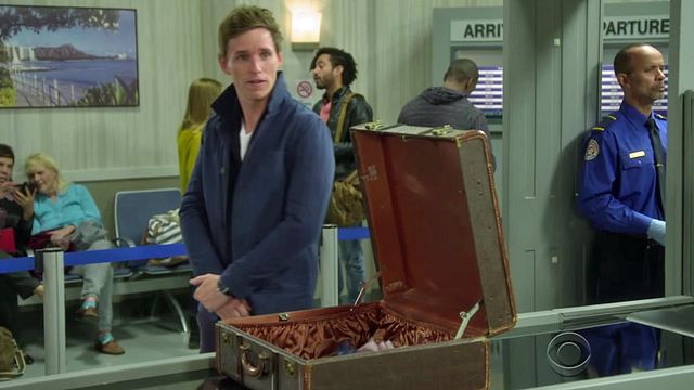 Si&nbsp;Les Animaux Fantastiques se déroulait aujourd'hui, le sorcier aurait probablement bien plus de mal à passer la douane que dans le film !