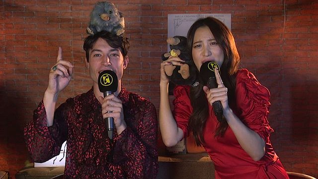 Ezra Miller, Claudia Kim, Alison Sudol, Callum Turner et Dan Fogler : vous avez posé les questions, ils y ont répondu dans le décor de FanZone, à l'occasion de la sortie des "Animaux Fantastiques 2 - Les Crimes de Grindelwald".