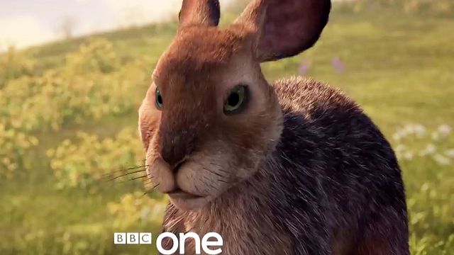La Colline Aux Lapins La Colline aux lapins - Série TV 2018 - AlloCiné
