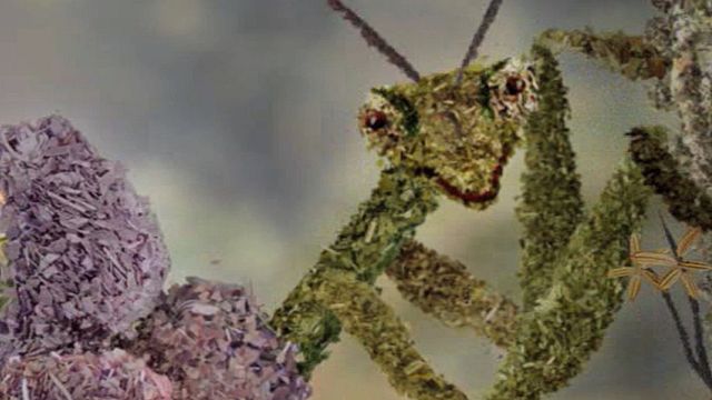 La petite fabrique du monde Trailer