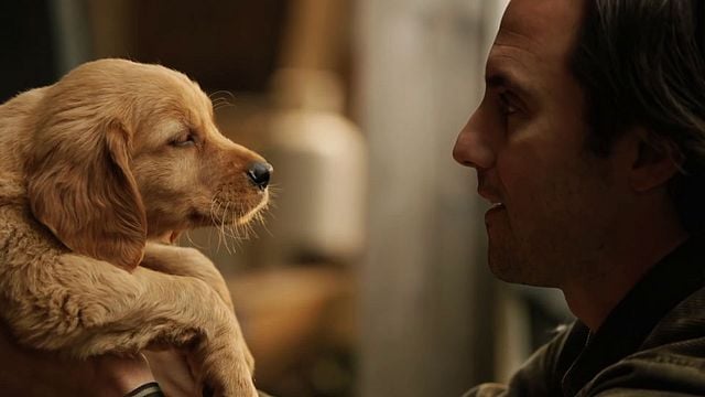 Dans les yeux d'Enzo Bande-annonce