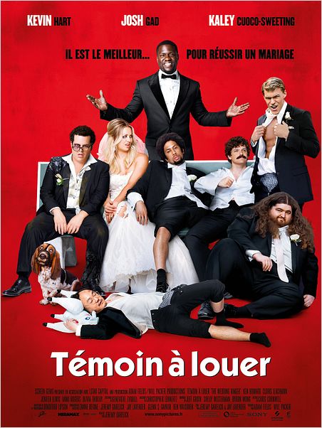 Témoin à louer ddl Témoin à louer ddl