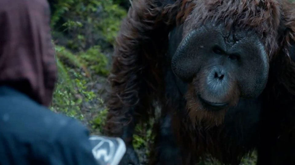 La Planète Des Singes Laffrontement Streaming Vf Extrait du film La Planète des singes : l'affrontement - La Planète des